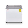 CONGELADOR HORIZONTAL TAPA DE CRISTAL CURVO 8 PIES CHC-80CR