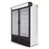 REFRIGERADOR VERTICAL EXHIBIDOR 2 PUERTAS 36 PIES R36L