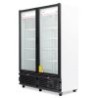 REFRIGERADOR VERTICAL EXHIBIDOR 42 PIES TVC42-2P